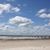 Betty MacFadden's profile image