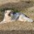 Lisa Hafer Hite's profile image