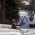 Jennifer Wieser Dutcher's profile image