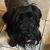 Fiona Macken's profile image