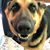 Stefani A Hutchison's profile image