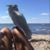 Gina Seraichyk's profile image