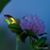 Wanda Faye Owens Bax's profile image