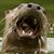 Alan Peterson's profile image