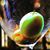 Stephen P Robinson's profile image