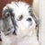 Angela Grant Giles's profile image