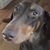 Lori Thompson's profile image