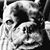 Anja Trep's profile image