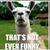 Mark Hazelwood's profile image