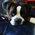 Michael Beaudry's profile image