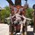 James Lozano's profile image