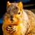 Winnie Chrzanowski's profile image
