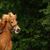 Charlotte Bucknell Reilly's profile image