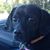 Vicki Lear's profile image