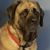 Nancy Stover Coughlin's profile image