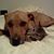 Amy Kile's profile image
