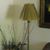 Terri Kerschen's profile image