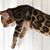 Holly Baker's profile image