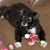 Connie Kershaw's profile image