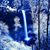 Gail Wege's profile image