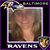 Traci Nichols Losito's profile image