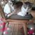 Glenda McDonald's profile image
