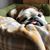 Meena Gehani's profile image