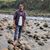 Rajib Ali's profile image