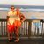 Morgan Kotlar's profile image