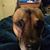 Tricia Marie Howard's profile image