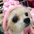 Laura Van Scarborough's profile image