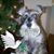 Heather Kirkpatrick's profile image