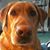 Peg Herdt's profile image