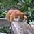 Jane Lageschulte's profile image