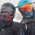 Kareen Twilley's profile image