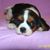 Gerri Geiger Vaden's profile image