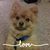 Diane Newman's profile image