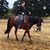 Mandy Brown's profile image