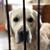 Cindy Rothfuss Miller's profile image