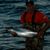 John Patrick Manlove's profile image