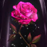 Priscilla E.'s profile image