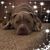 Rose Worden's profile image