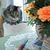 Cheryl Miller's profile image