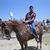 Placito Martin's profile image