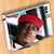 Jamille Winter Boy Robinson's profile image