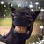 Vicky Smith's profile image