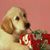 Terri McCarthy's profile image