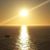 Arleta Brewka Moya's profile image