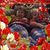 Lori Helvie-Bouwsma's profile image
