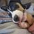 Mark Nelson's profile image